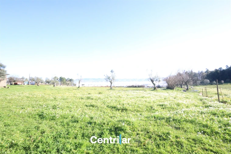 Terreno Agricola ou Rústico para Venda em Santiago de Cassurrães e Póvoa de Cervães Foto 4