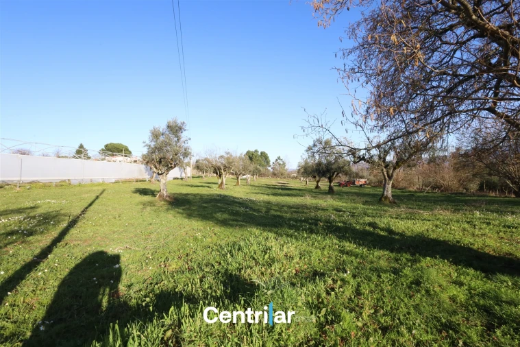 Terreno Agricola ou Rústico para Venda em Santiago de Cassurrães e Póvoa de Cervães Foto 22