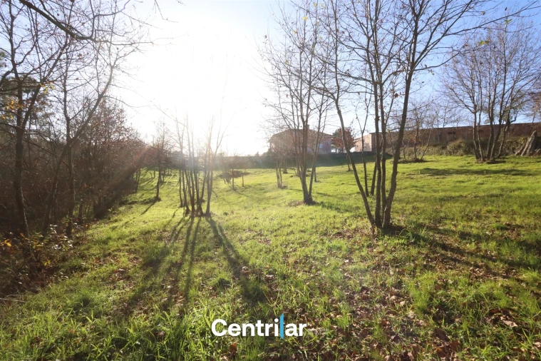 Terreno Agricola ou Rústico para Venda em Santiago de Cassurrães e Póvoa de Cervães Foto 17