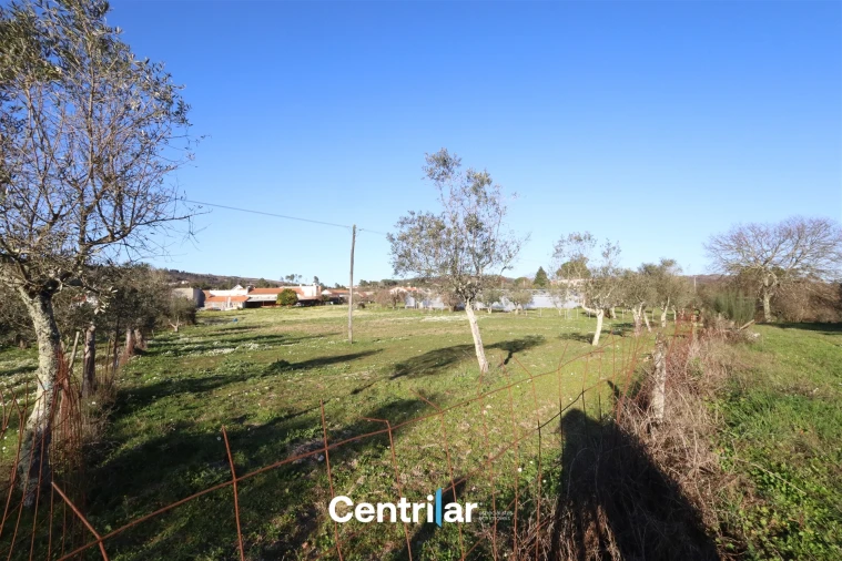 Terreno Agricola ou Rústico para Venda em Santiago de Cassurrães e Póvoa de Cervães Foto 20