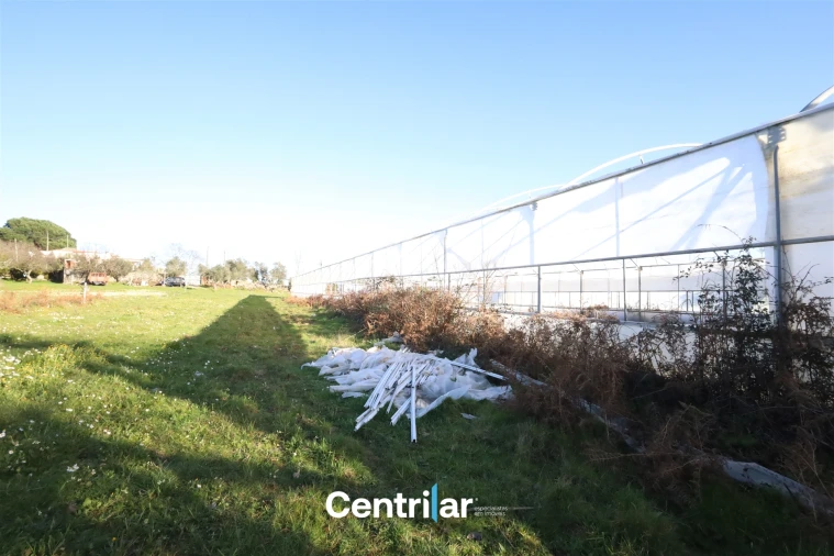 Terreno Agricola ou Rústico para Venda em Santiago de Cassurrães e Póvoa de Cervães Foto 24