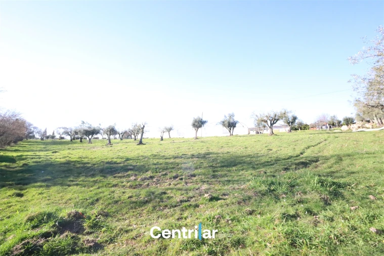 Terreno Agricola ou Rústico para Venda em Santiago de Cassurrães e Póvoa de Cervães Foto 7