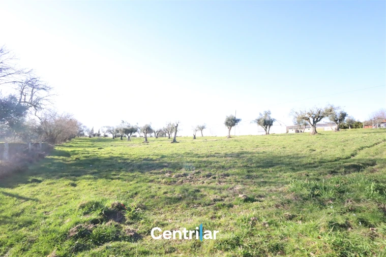 Terreno Agricola ou Rústico para Venda em Santiago de Cassurrães e Póvoa de Cervães Foto 8