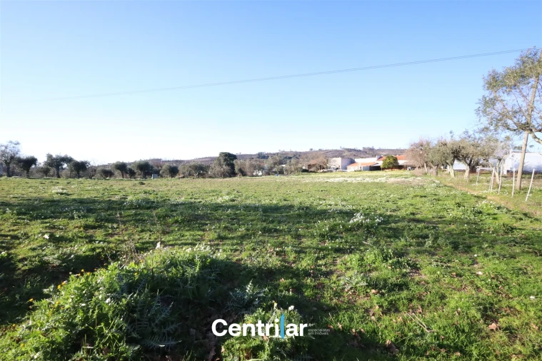 Terreno Agricola ou Rústico para Venda em Santiago de Cassurrães e Póvoa de Cervães Foto 1