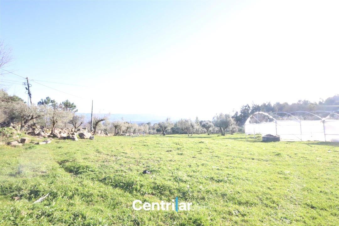 Terreno Agricola ou Rústico para Venda em Santiago de Cassurrães e Póvoa de Cervães Foto 6