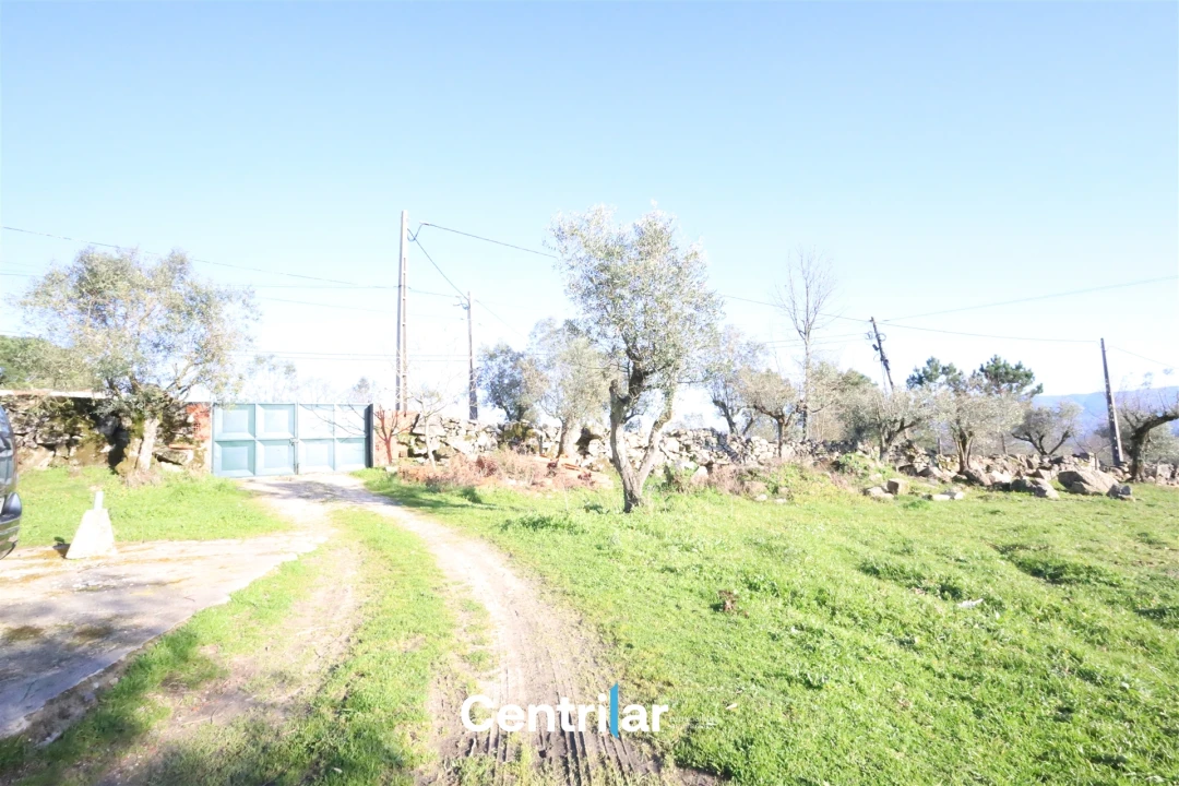 Terreno Agricola ou Rústico para Venda em Santiago de Cassurrães e Póvoa de Cervães Foto 5