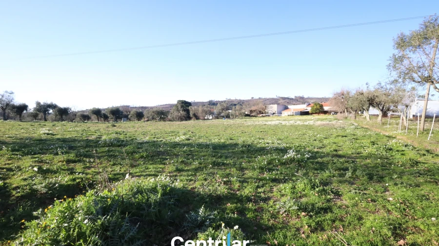 Terreno Agricola ou Rústico para Venda em Santiago de Cassurrães e Póvoa de Cervães