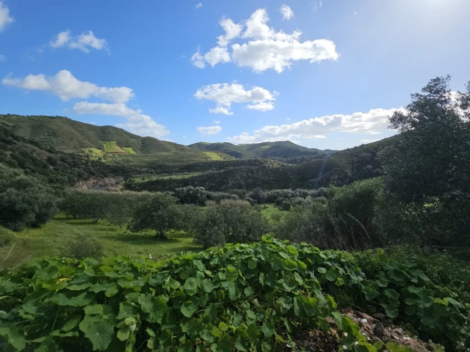 Quinta T2 para Venda em Tavira (Santa Maria e Santiago) Foto 27