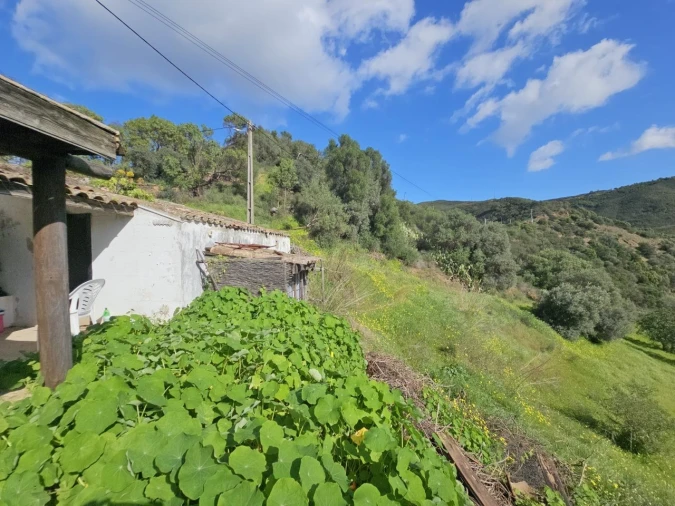 Quinta T2 para Venda em Tavira (Santa Maria e Santiago) Foto 29