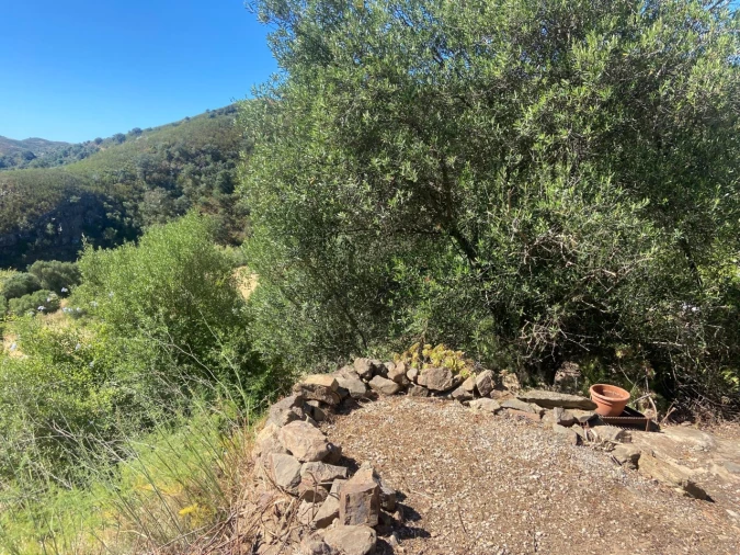 Quinta T2 para Venda em Tavira (Santa Maria e Santiago) Foto 30