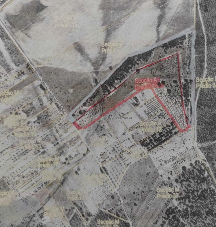 Terreno para Venda em São Jose da Lamarosa Foto 6