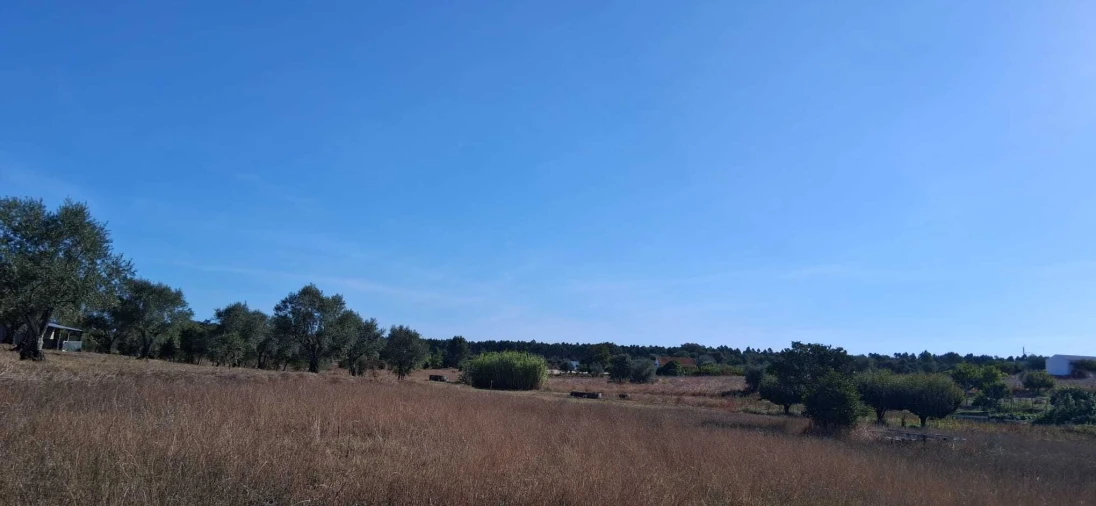 Terreno para Venda em São Jose da Lamarosa Foto 3