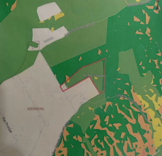 Terreno para Venda em São Jose da Lamarosa Foto 5