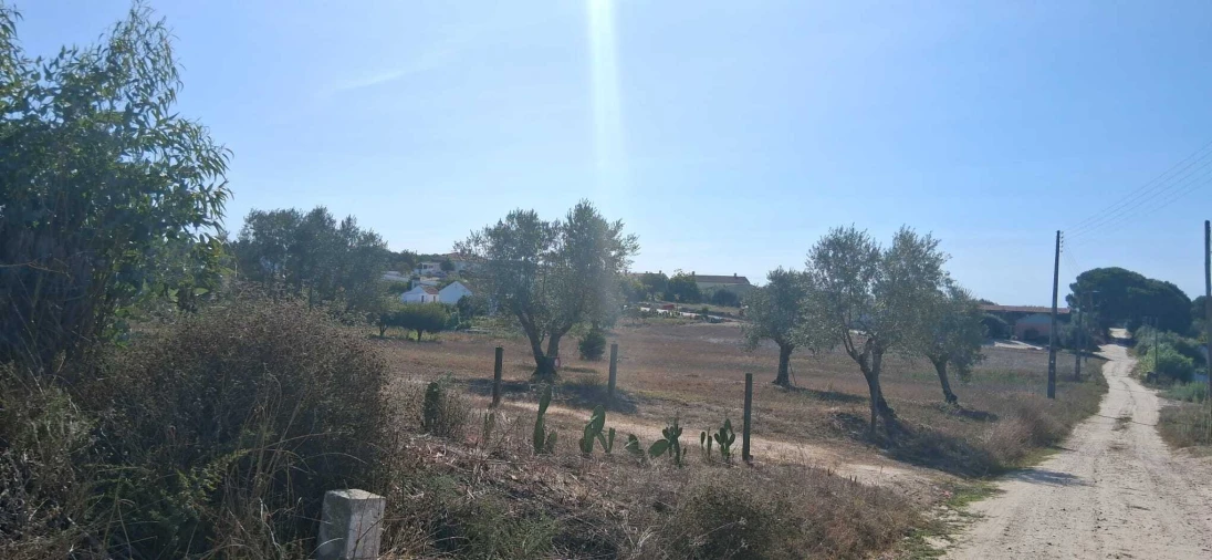 Terreno para Venda em São Jose da Lamarosa