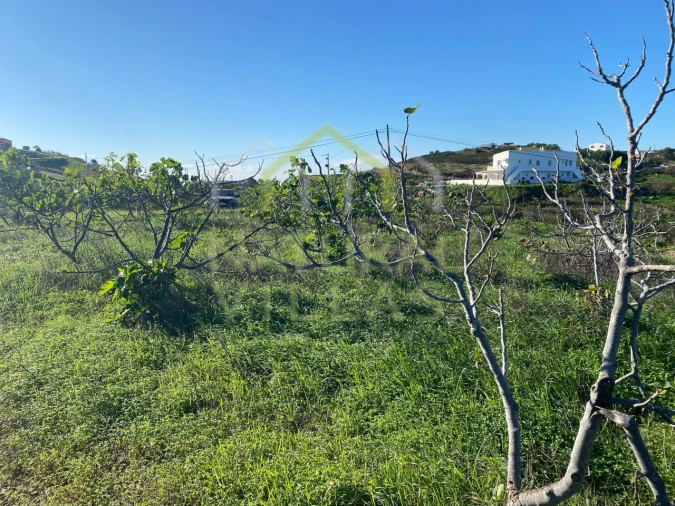 Terreno Agricola ou Rústico para Venda em Tavira (Santa Maria e Santiago) Foto 3