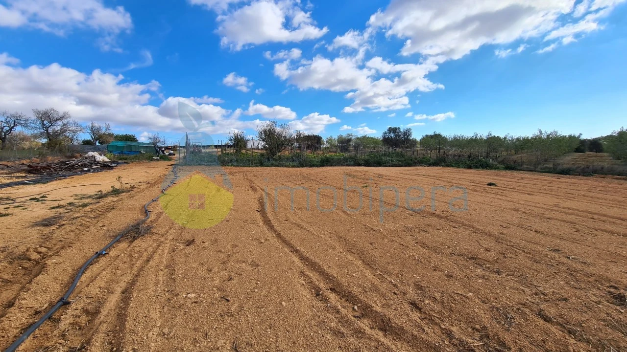 Terreno Agricola ou Rústico para Venda em Guia Foto 7