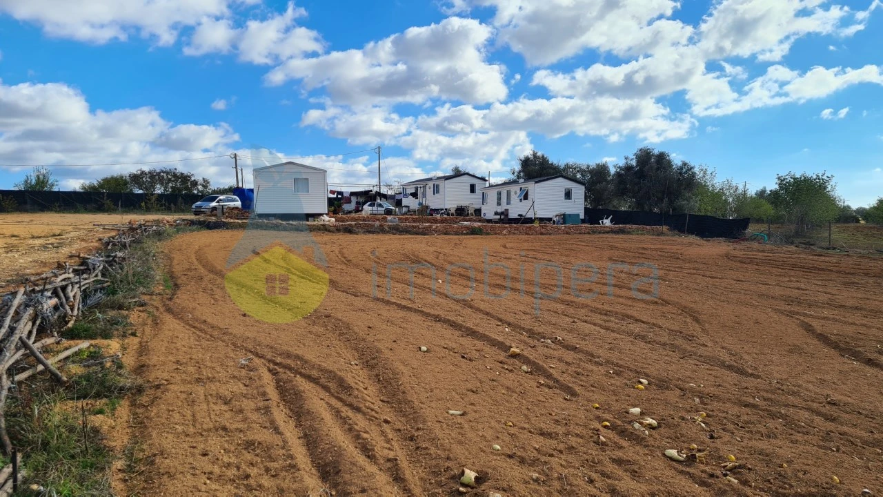 Terreno Agricola ou Rústico para Venda em Guia Foto 8
