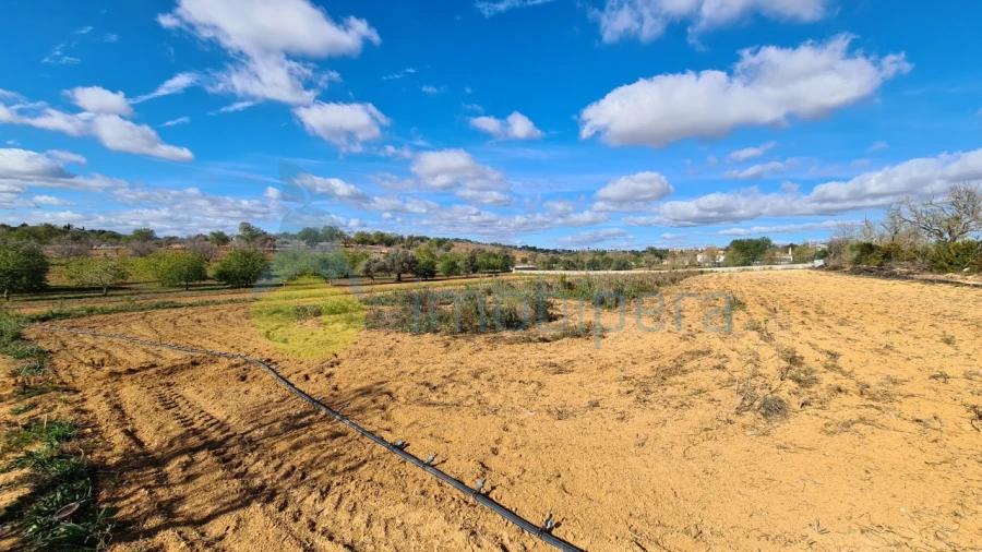Terreno Agricola ou Rústico para Venda em Guia Foto 2