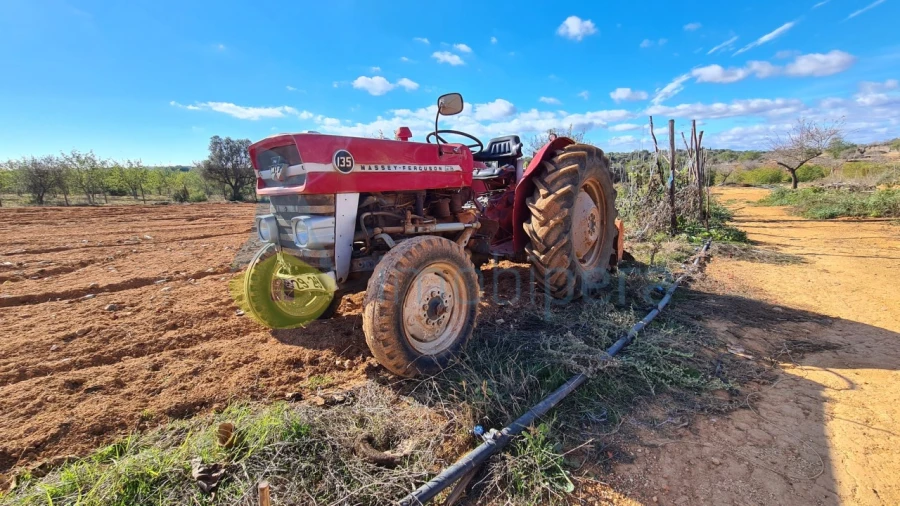Terreno Agricola ou Rústico para Venda em Guia Foto 3
