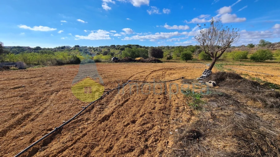 Terreno Agricola ou Rústico para Venda em Guia Foto 6