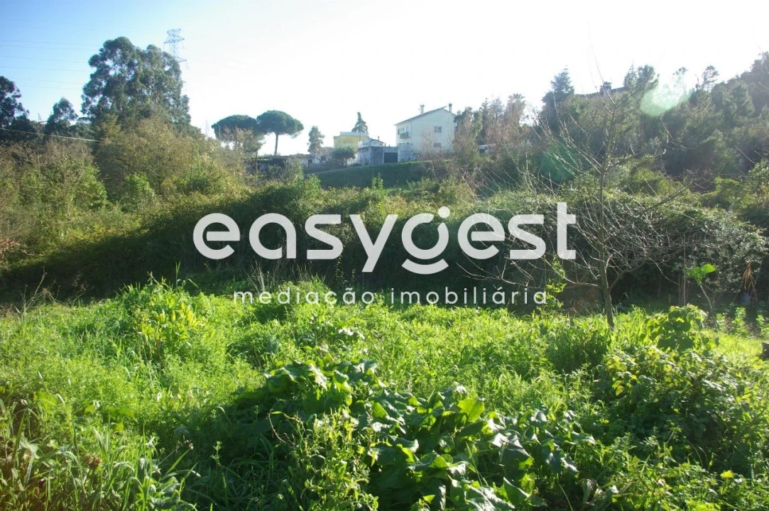 Terreno Agricola ou Rústico para Venda em Santa Clara e Castelo Viegas Foto 2