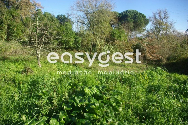 Terreno Agricola ou Rústico para Venda em Santa Clara e Castelo Viegas Foto 3