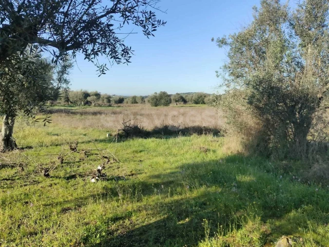 Terreno Agricola ou Rústico para Venda em Vila Alva Foto 6