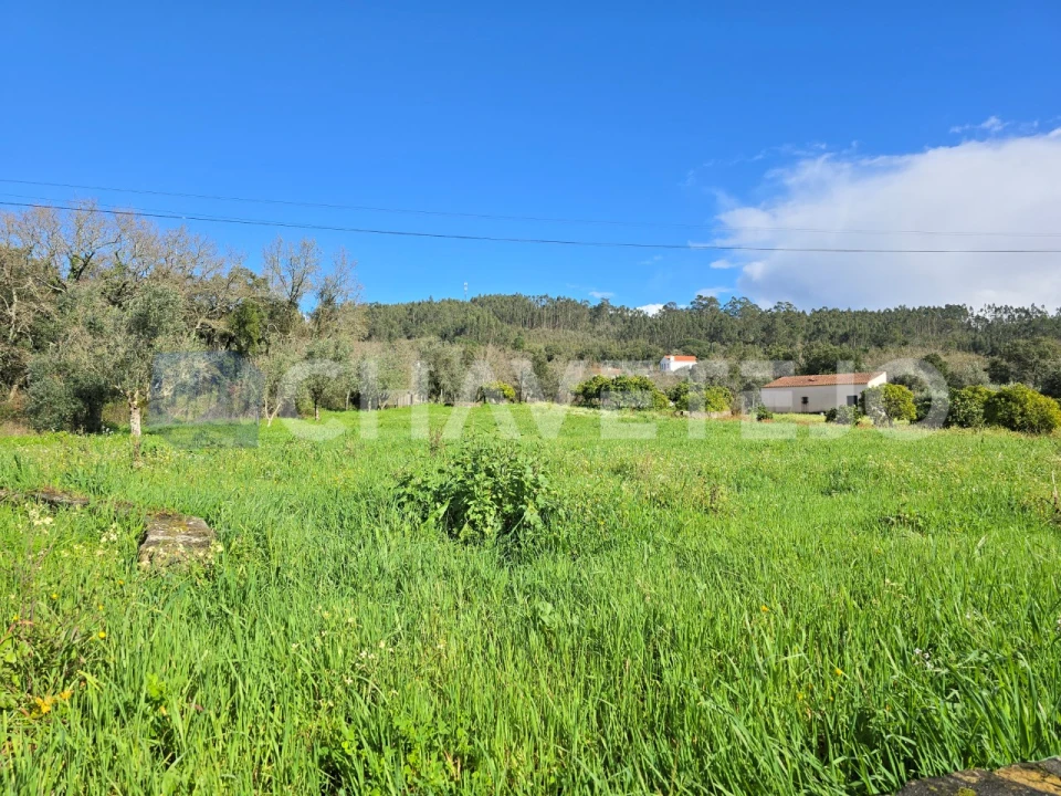 Moradia T4 para Venda em Areias e Pias Foto 19