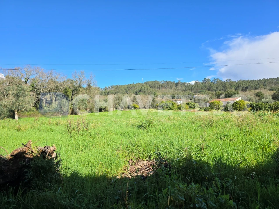 Moradia T4 para Venda em Areias e Pias Foto 34