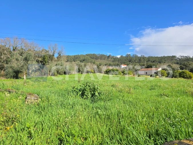 Moradia T4 para Venda em Areias e Pias Foto 19