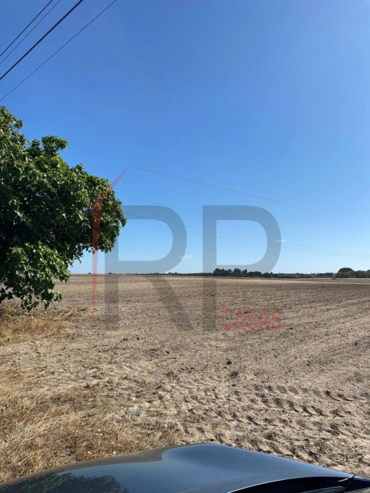 Terreno Agricola ou Rústico para Venda em Pegões Foto 7
