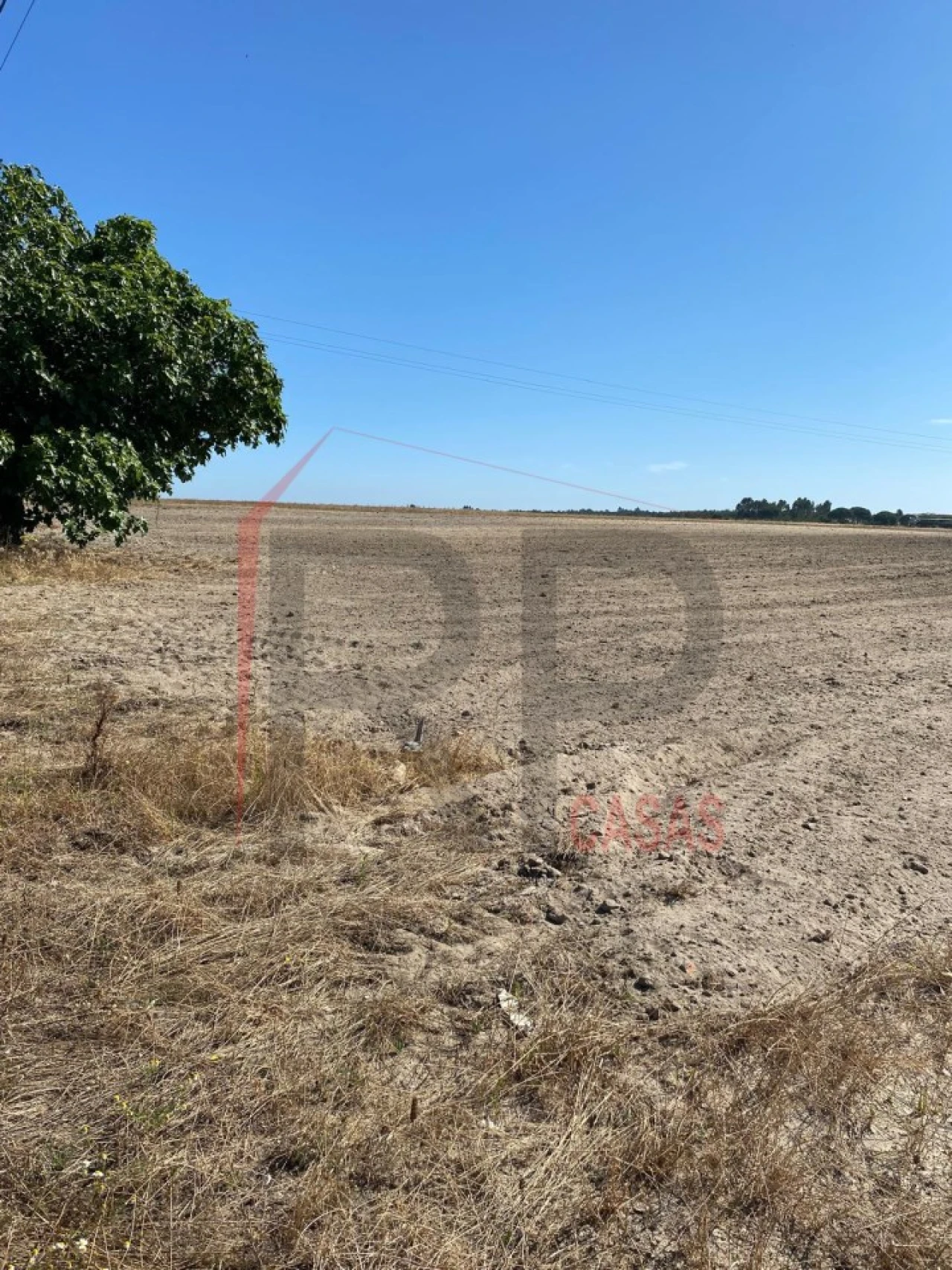 Terreno Agricola ou Rústico para Venda em Pegões Foto 9