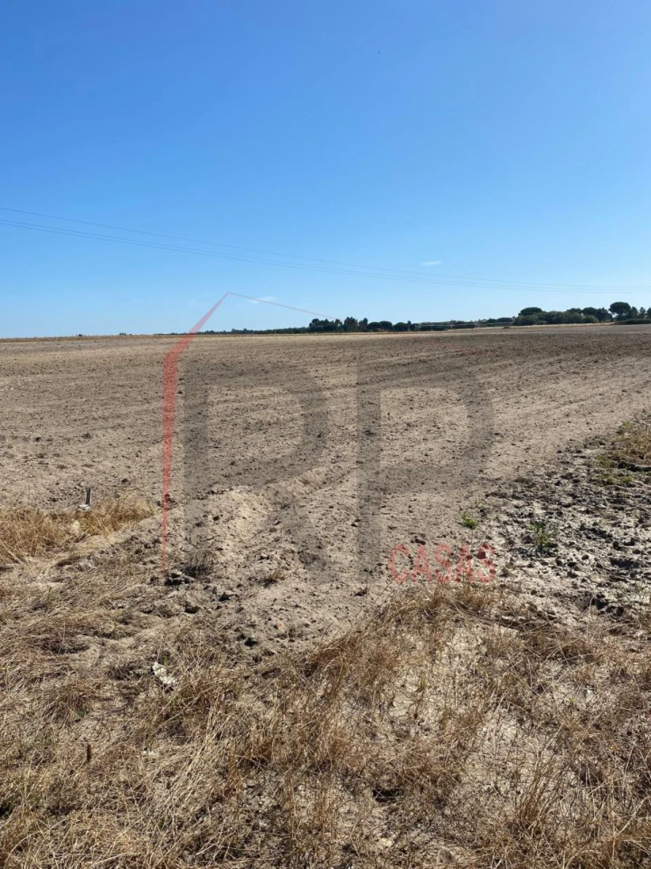 Terreno Agricola ou Rústico para Venda em Pegões Foto 10
