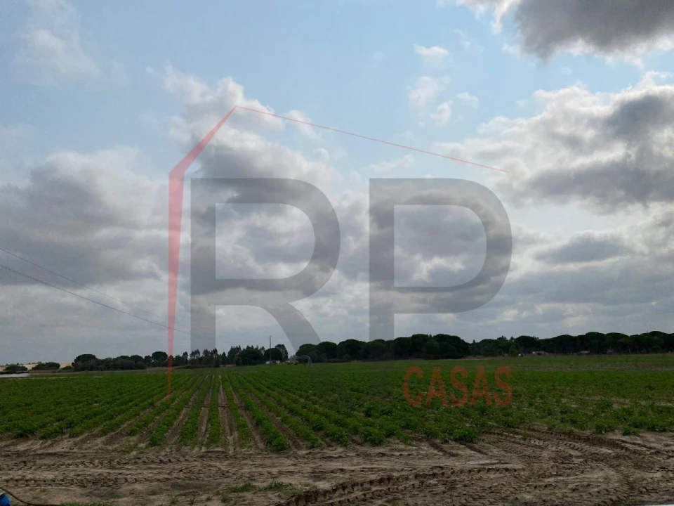 Terreno Agricola ou Rústico para Venda em Pegões Foto 1