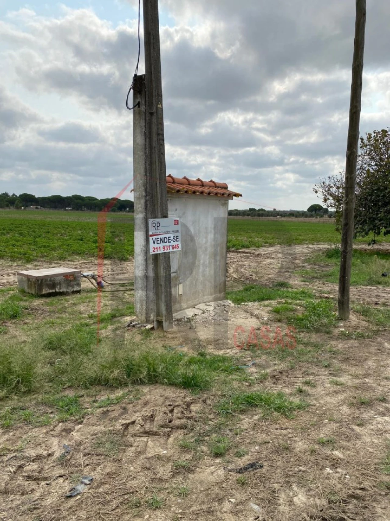 Terreno Agricola ou Rústico para Venda em Pegões Foto 2