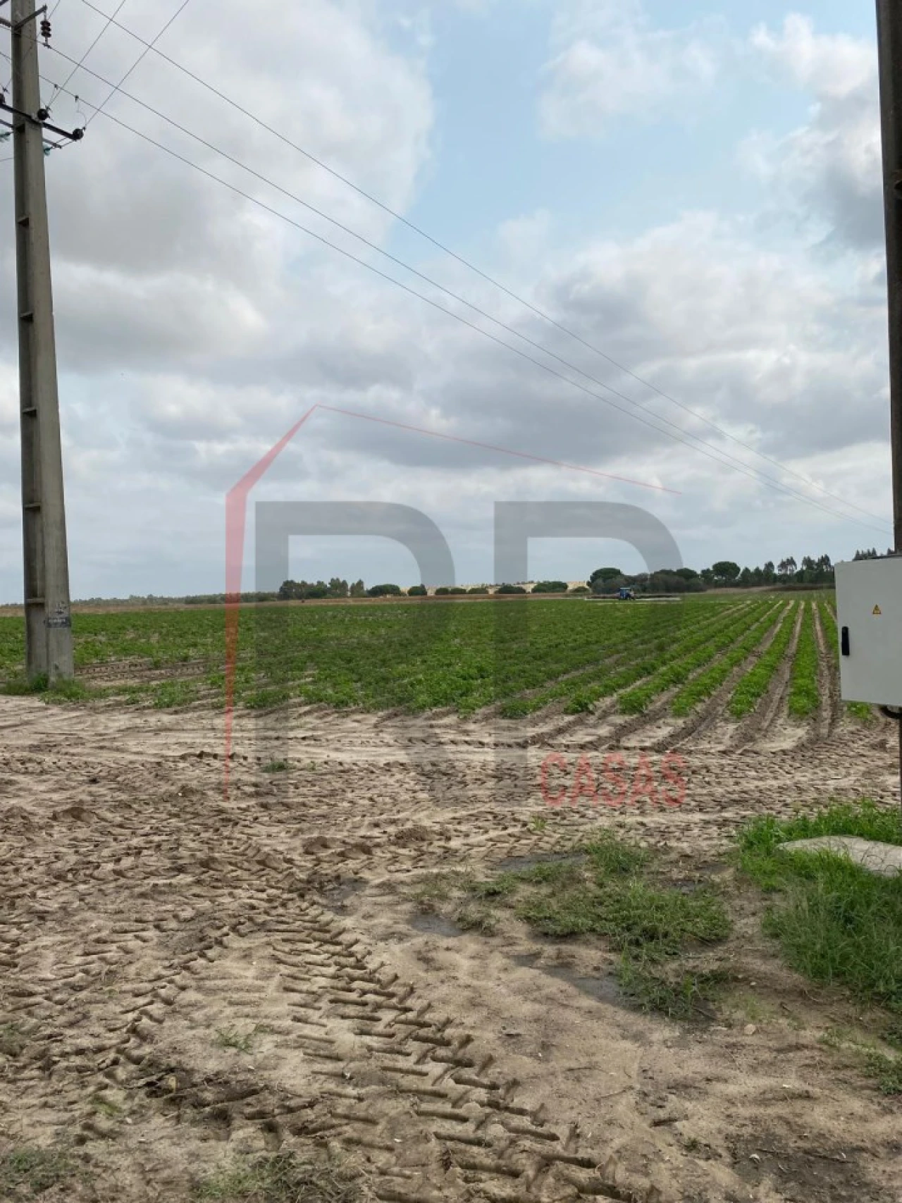 Terreno Agricola ou Rústico para Venda em Pegões Foto 3