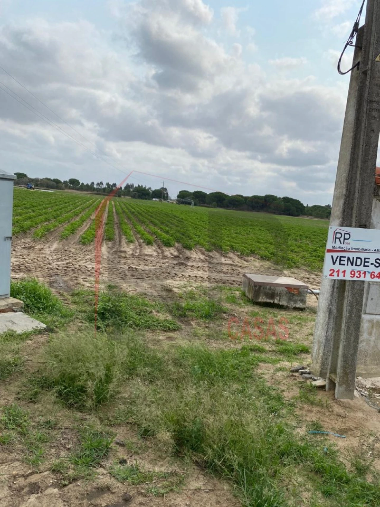 Terreno Agricola ou Rústico para Venda em Pegões Foto 4