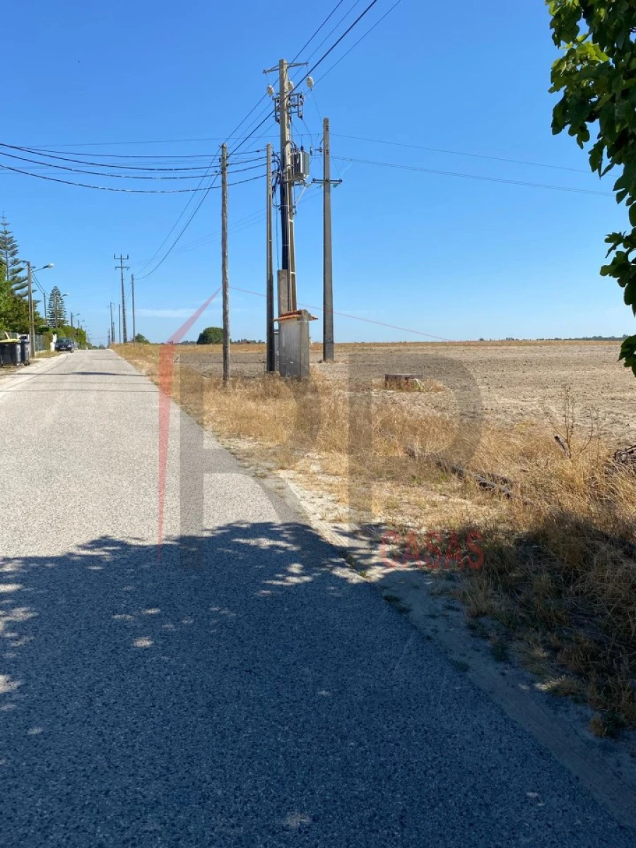 Terreno Agricola ou Rústico para Venda em Pegões Foto 6
