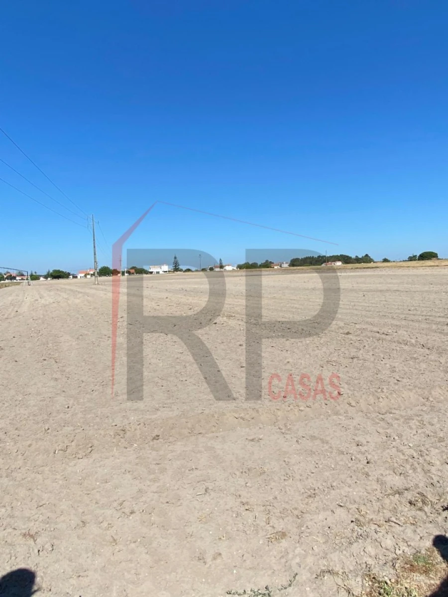 Terreno Agricola ou Rústico para Venda em Pegões Foto 8