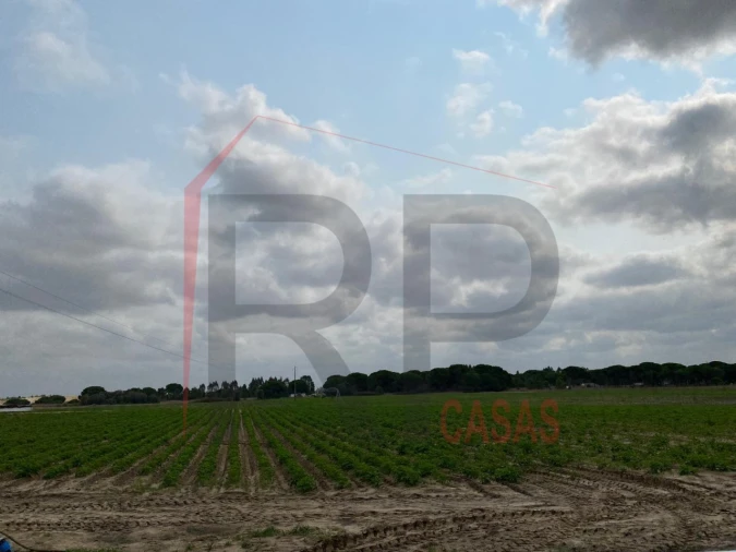 Terreno Agricola ou Rústico para Venda em Pegões Foto 1