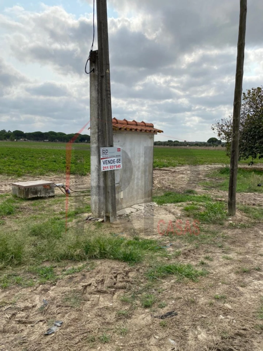 Terreno Agricola ou Rústico para Venda em Pegões Foto 2