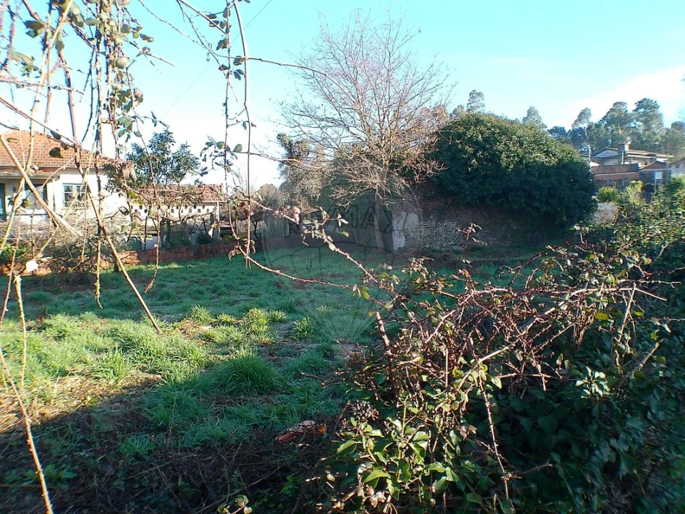 Moradia T2 para Venda em Canedo, Vale e Vila Maior Foto 14