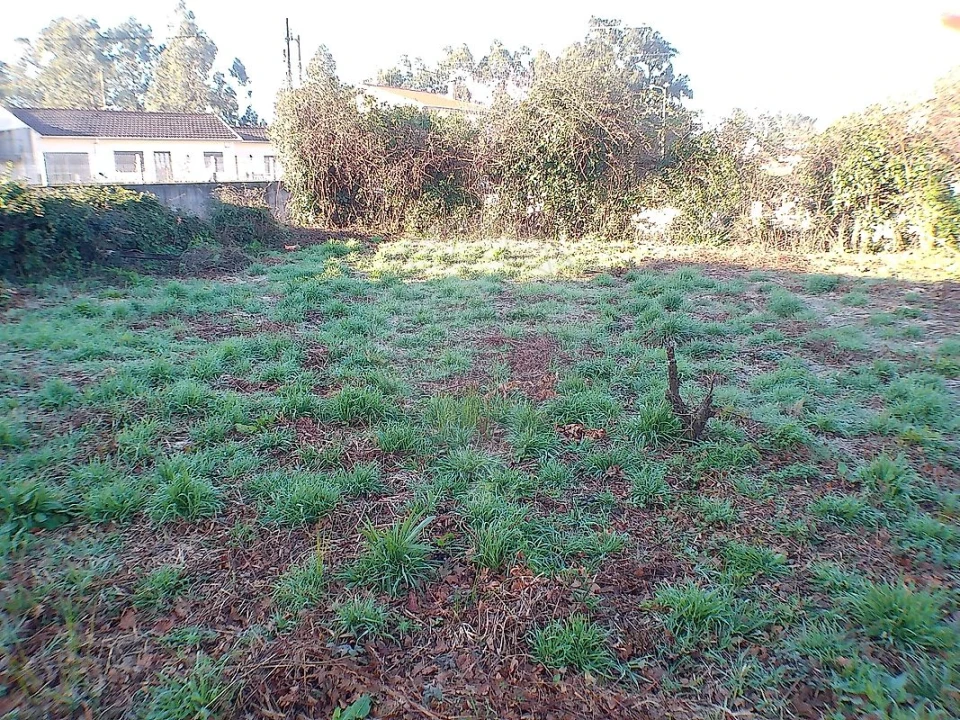 Moradia T2 para Venda em Canedo, Vale e Vila Maior Foto 28