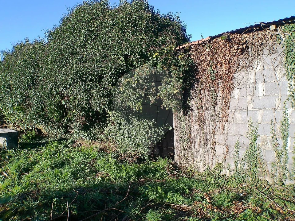 Moradia T2 para Venda em Canedo, Vale e Vila Maior Foto 31
