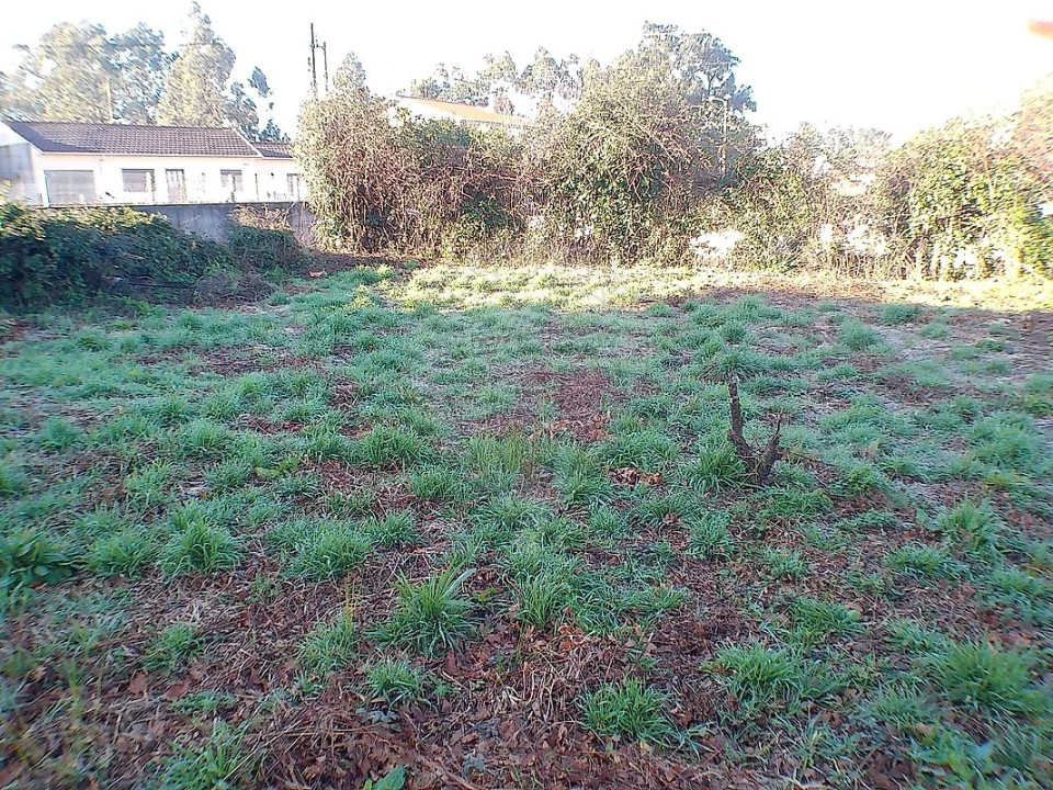 Moradia T2 para Venda em Canedo, Vale e Vila Maior Foto 26