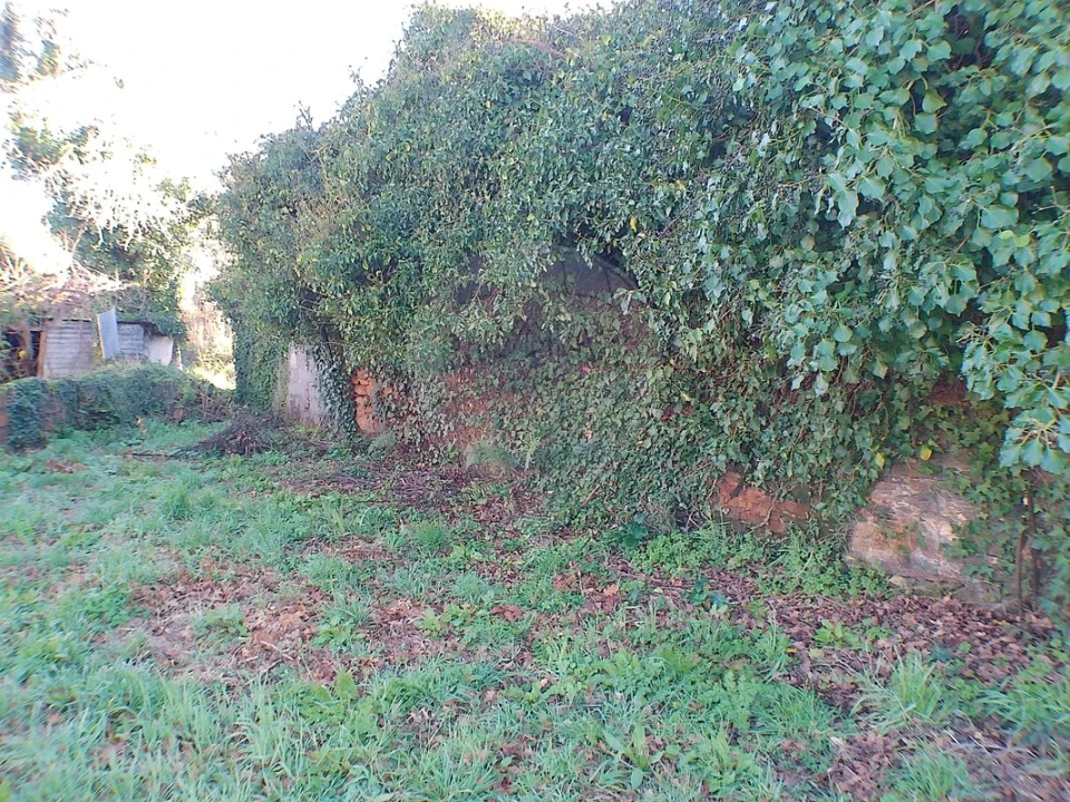 Moradia T2 para Venda em Canedo, Vale e Vila Maior Foto 20