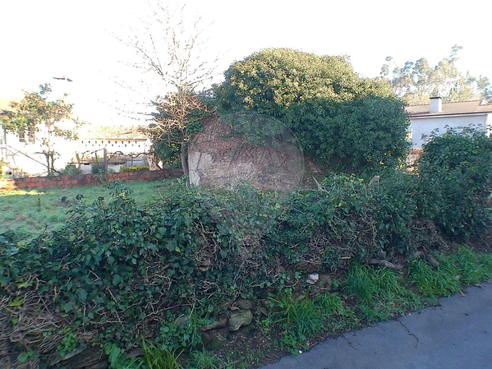 Moradia T2 para Venda em Canedo, Vale e Vila Maior Foto 1