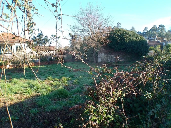 Moradia T2 para Venda em Canedo, Vale e Vila Maior Foto 14