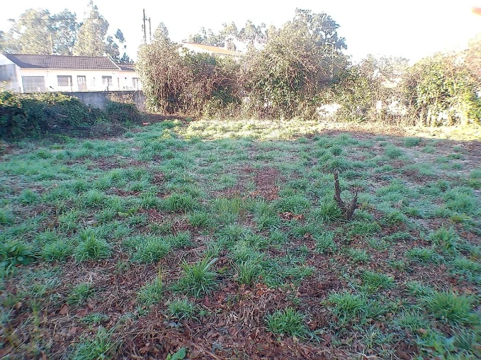 Moradia T2 para Venda em Canedo, Vale e Vila Maior Foto 28