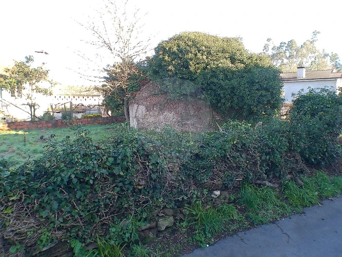 Moradia T2 para Venda em Canedo, Vale e Vila Maior Foto 13